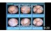 tukrozes_helyett